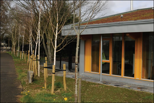 Trees were planted between the glazed area and the park to acts as a natural brise soleil and prevent glare and overheating from the summer sun