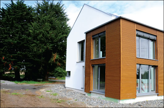 Timber cladding and a pitched roof soften the house's modern design