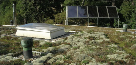 The sand roof of the Okowerk Environmental Centre in Berlin was built in the 1890s, and is now colonised by mosses and lichens