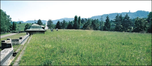 The moos filtration plant near Zurich in Switzerland features nine acres of extensive roof meadow that supports 175 different plant species, including rare green-winged orchids;