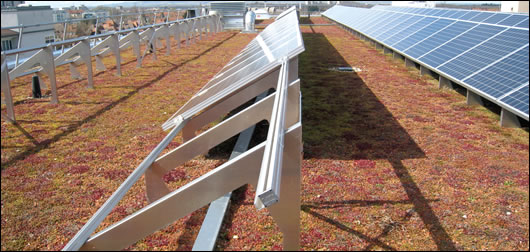 An extensive green roof in Freiburg, Germany features an array of Solar PV cells. Green roofs assist solar PV technology by cooling rooftop temperatures. Overheating is a key reason for inefficiencies in PV technology