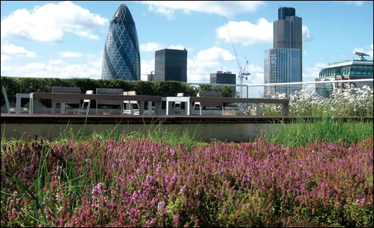 The green roof on law firm Allen & Overy's London headquarters