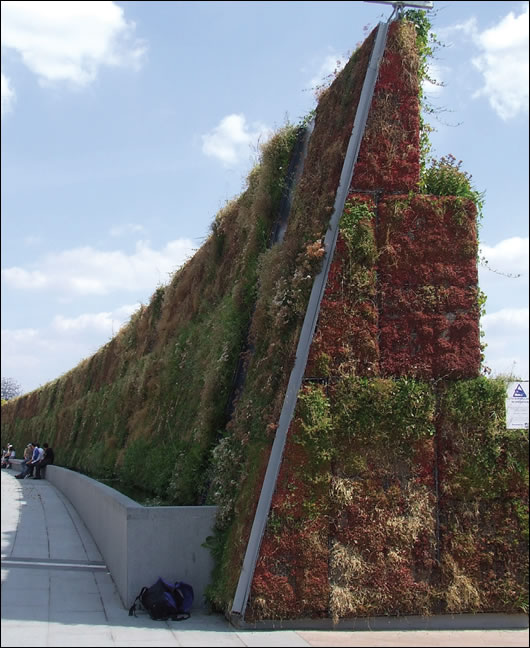 A stand-alone living wall in the Millennium Park, London
