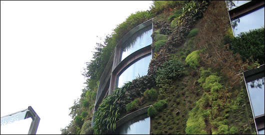 Some examples of renowned French botanist Patrick Blanc’s living walls abroad include (top) the Musée du quai Branly in Paris; (above) le Mur Vegetal at Melbourne Central, Australia; and (below) the BHV Homme fashion store, also in Paris