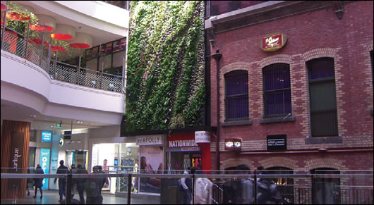 Some examples of renowned French botanist Patrick Blanc’s living walls abroad include (top) the Musée du quai Branly in Paris; (above) le Mur Vegetal at Melbourne Central, Australia; and (below) the BHV Homme fashion store, also in Paris