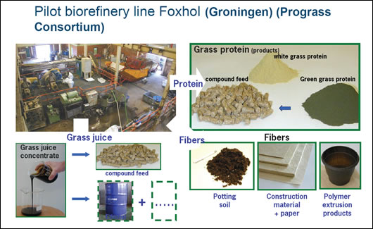 a diagram showing the range of materials produced using the innovative bio-refinery at the Solanic factory in Groningen