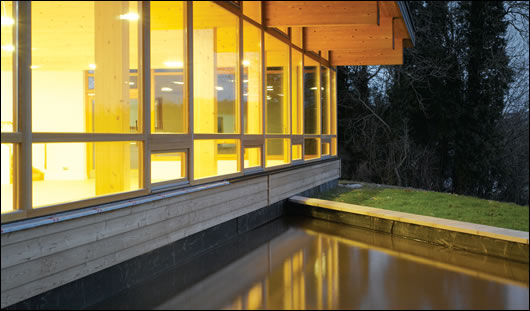 A small artificial pool collects rainwater from the roof above. “There’s quite a nice little habitat going on in there,” says Mike Haslam of Solearth architects
