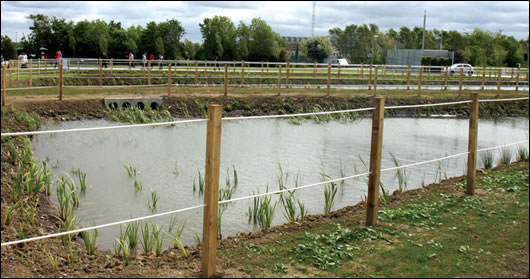 Wetland areas will contain and treat park water within a series of reed beds