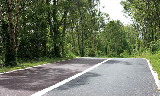 Space was created, through existing woodland, for a walking and cycling path which encircles the park