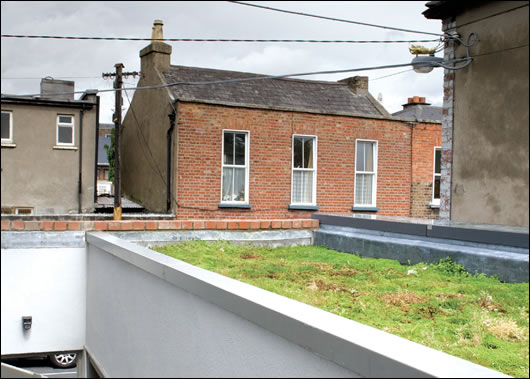 A sedum green roof was installed on top of the meeting room