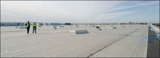 The vast expanse of roof space gives a sense of the sheer size of the building