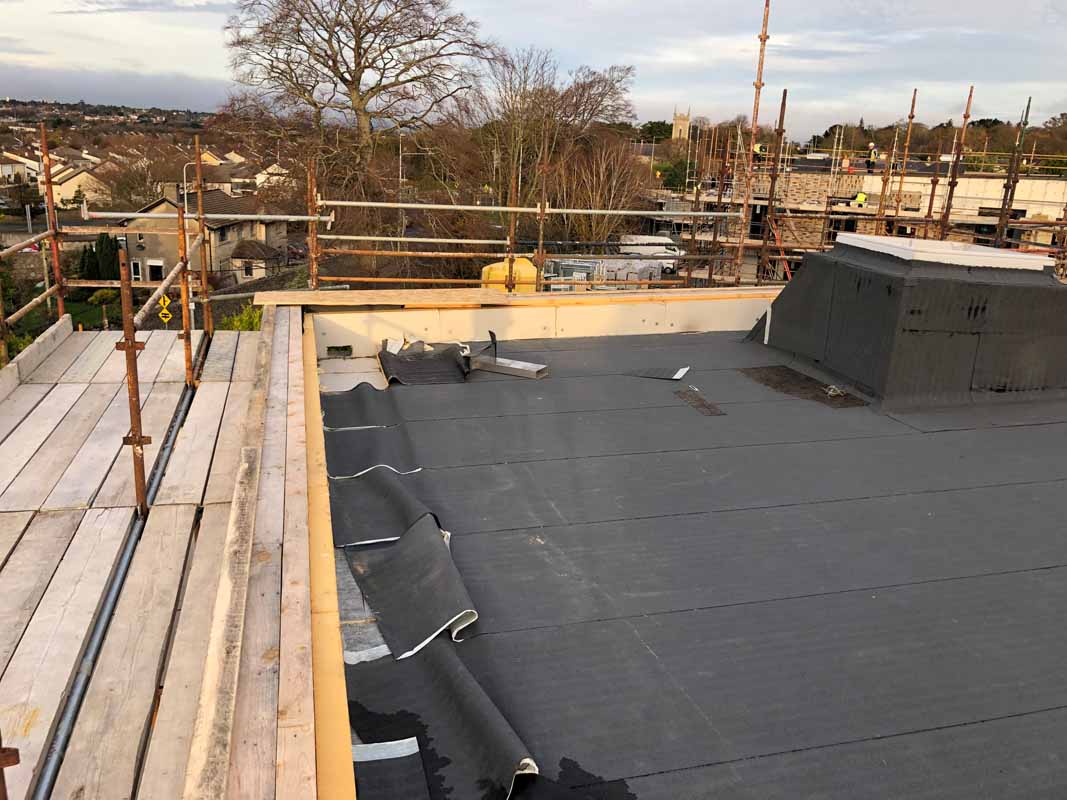 Hope springs eternal - passivehouseplus.ie