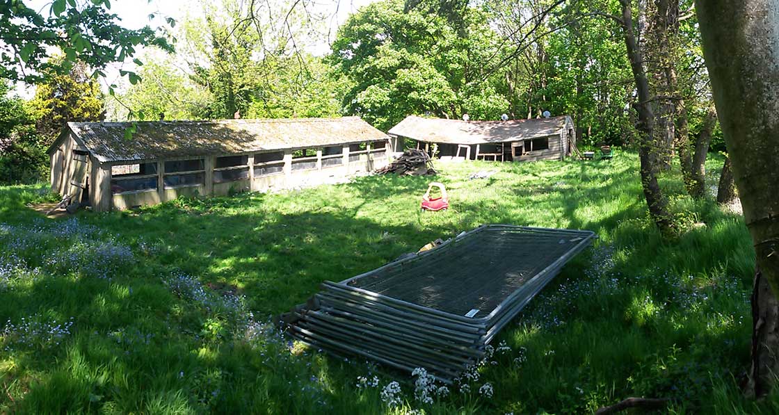 The dilapidated chicken sheds that were originally on the site