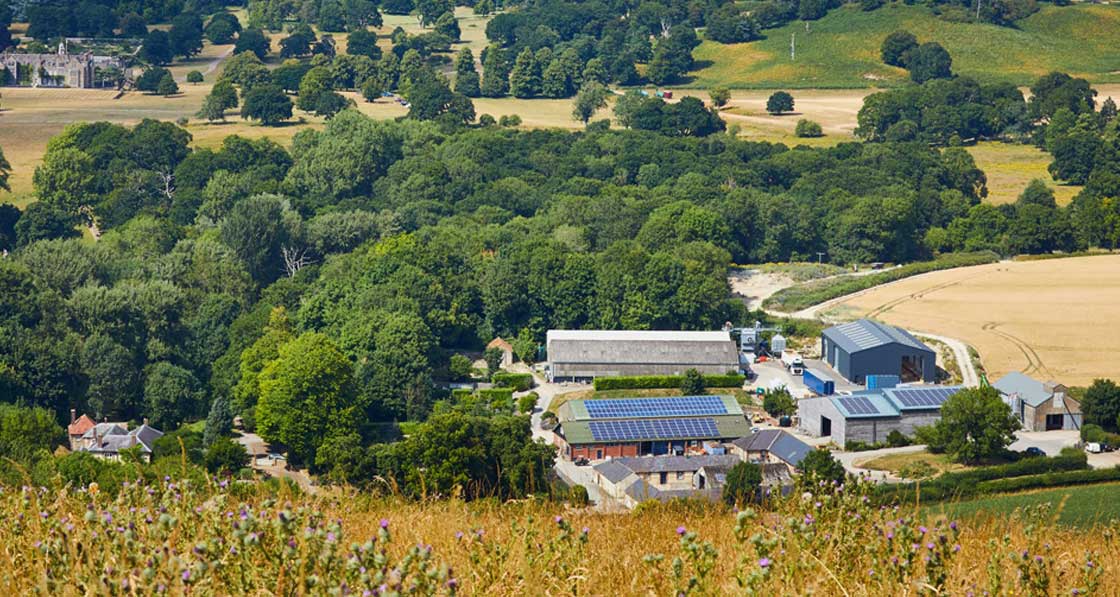 Located on a farm in a national park, the factory makes use of extensive PV arrays to reduce manufacturing emissions, such as from the electric Hubtex forklift. (pictured below)