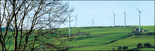 The possibility of accelerating the rate at which windfarms are added to the grid should also be investigated