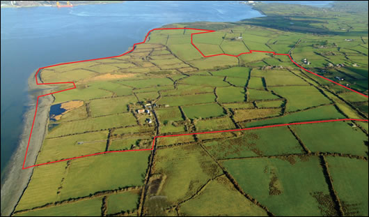 A photograph of the site for the proposed Shannon LNG terminal