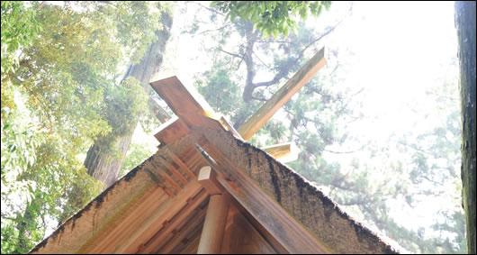 The Ise shrine, Japan. The disassembly and reassembly of the timber frame inner sanctum of the shrine has taken place every 20 years for the last 1300 years