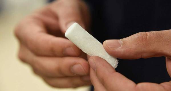 Researchers develop plant-based foam insulation