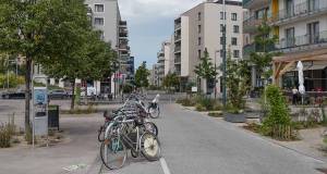 Big picture - Points of access to resilient living