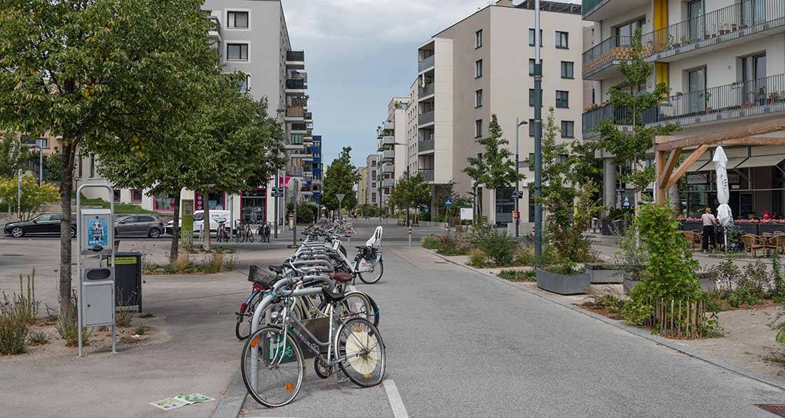 Big picture - Points of access to resilient living