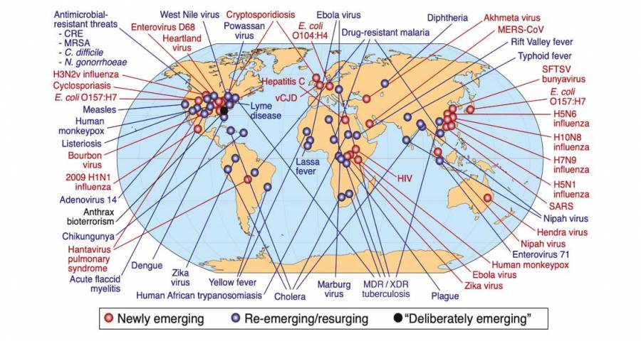 Are we the virus? - passivehouseplus.ie