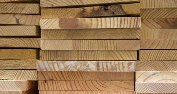 Mass timber consultation: have your say by 21 April to change the rules - Vimarsana News